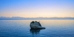 Bonsai Rock