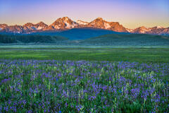 Spring Sunrise