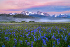 Blue Sunrise