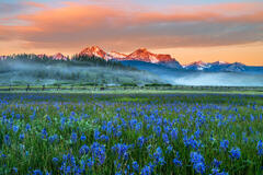 Idaho Sunrise