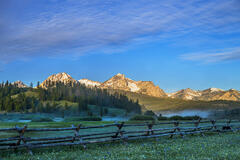 Spring Fence