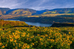 Rowena Cliffs