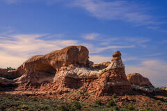 Covered Wagon
