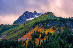 Stevens Canyon