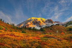A Fall Paradise