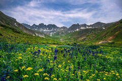 Colorado Spring
