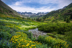 American Basin