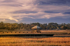 Low Country