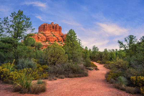 Sedona lanscape scene of a red dirt trail leading to Bell Rock in the early morning