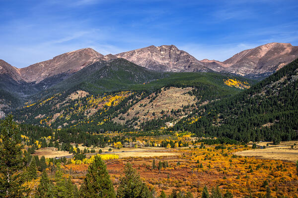 Fall colors in a mountain valley and aspen trees shown off by a rising sun in rocky mountain national park