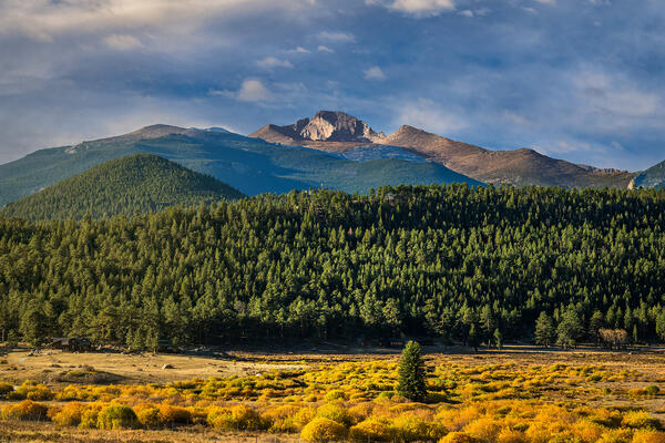 Sunrise light on a meadow and the mountain called Long's Peak in Rocky Mountain National Park