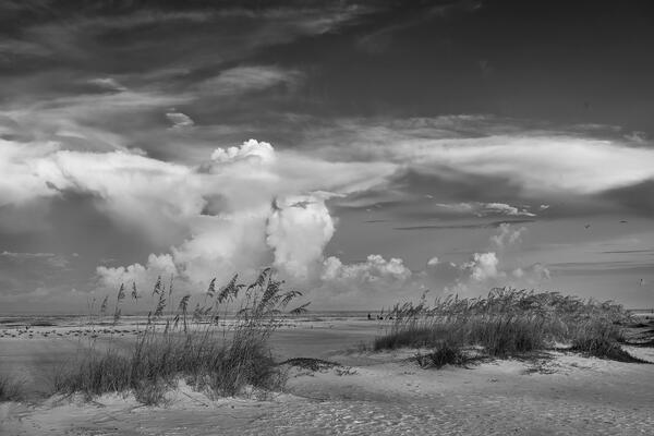 black and white landscape view of morning storm clouds over the gulf of mexico with white sands and sea oats in the foreground