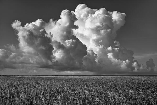 Florida landscape scene of the river of grass with huge exploding cumulous clouds above it