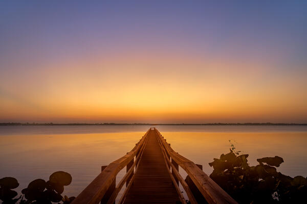 An amazing sunrise over a long dock on the water in florida