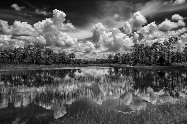 black and white view of big summer white clouds reflecting in webb lake florida