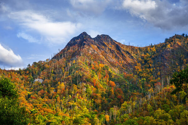 A mountain covered in fall colors in Smoky Mountains National Park