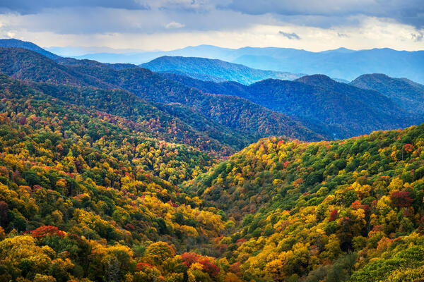 view of the mountains in full fall color in the Smoky Mountains