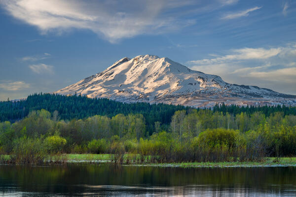 Washington landscape scene of a close up view of Mount Adams covered in snow above Trout Lake