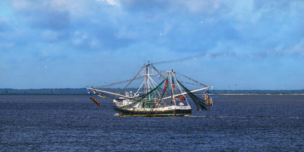 a commercial shrimp boat heading back to port in the morning after a night of catching shrimp