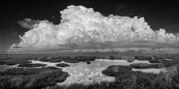 black and white florida landscape scene of white storm clouds reflecting in calm water in the Everglades