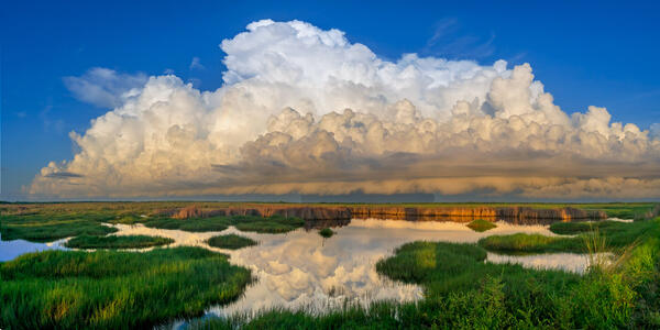 Everglades landscape scene of huge white storm clouds rising above a greeen marsh and reflecting in the water