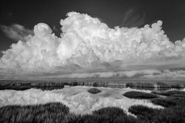 Florida Everglades landscape scene in black and white of moring storm clouds rising over a marsh and relfecting in calm water
