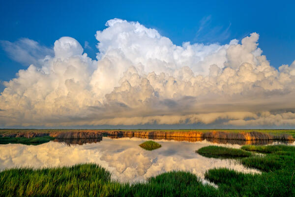 Huge white storm clouds rising above an Everglades marsh and reflecting in the calm water