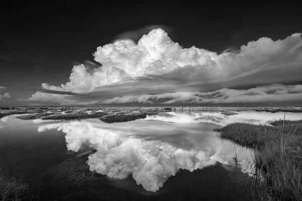 Black and white florida landscape scene of white storm clouds reflecting in the water in the Everglades