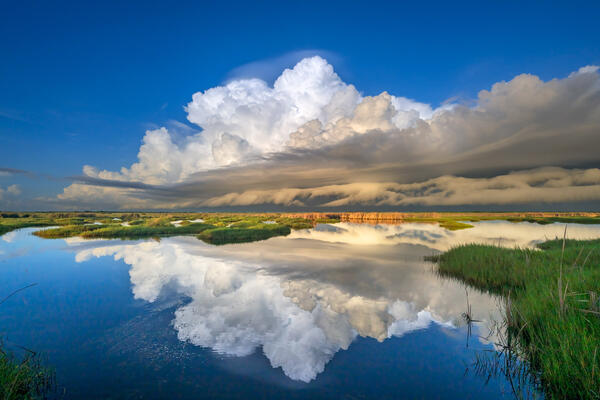 Florida Everglades landscape scene of white storm clouds reflecting perfectly in calm water