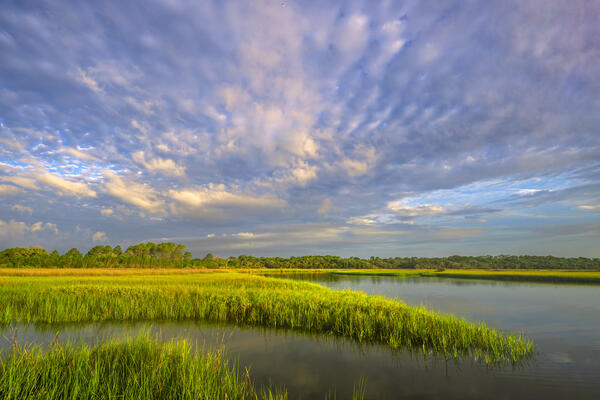 A green marsh coming to a point with exploding skies in Florida