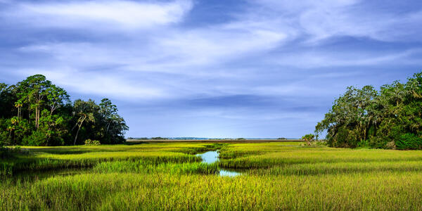 a green marsh with a river running through it and beautiful blue sky