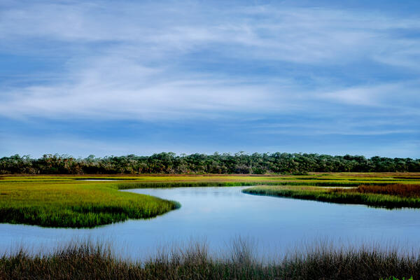 A river winding through a green marsh in Florida