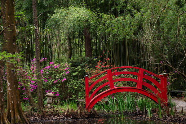 South Carolina landscape scene of a little red footbridge in sping flowers at Magnolia Plantation