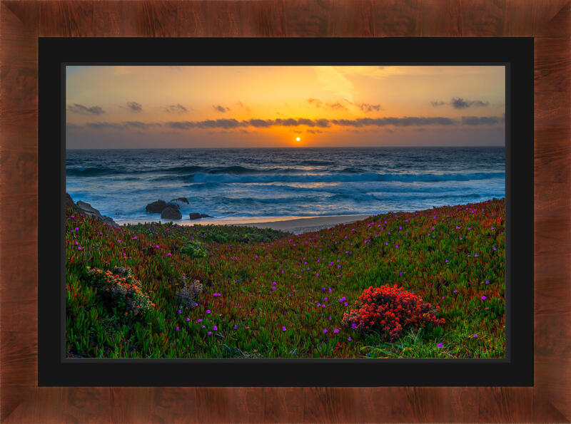 Garapatta Beach Flowers Sunset Fine Art Photo | Fine Art Prints By