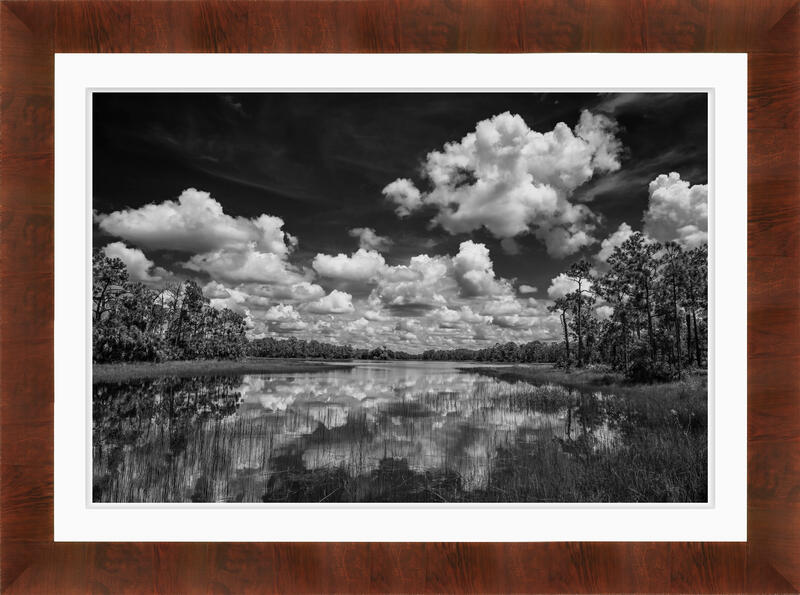 print preview