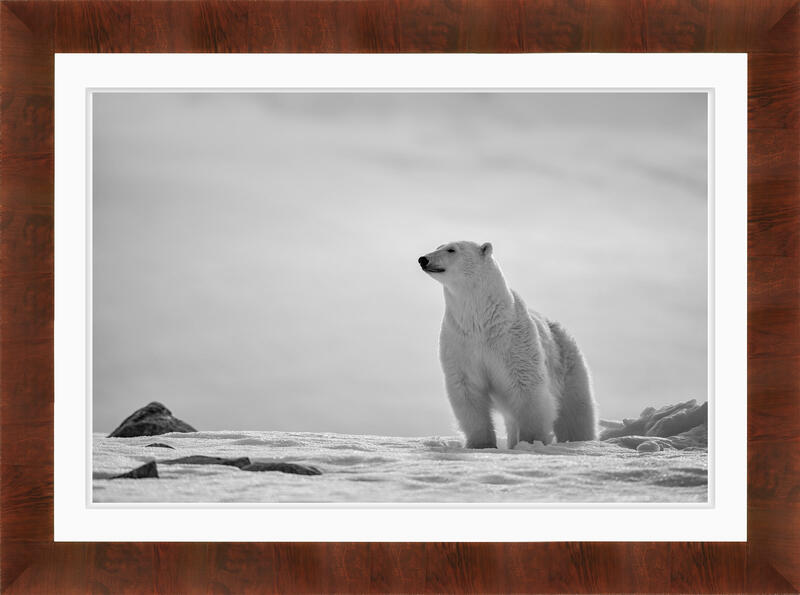 print preview