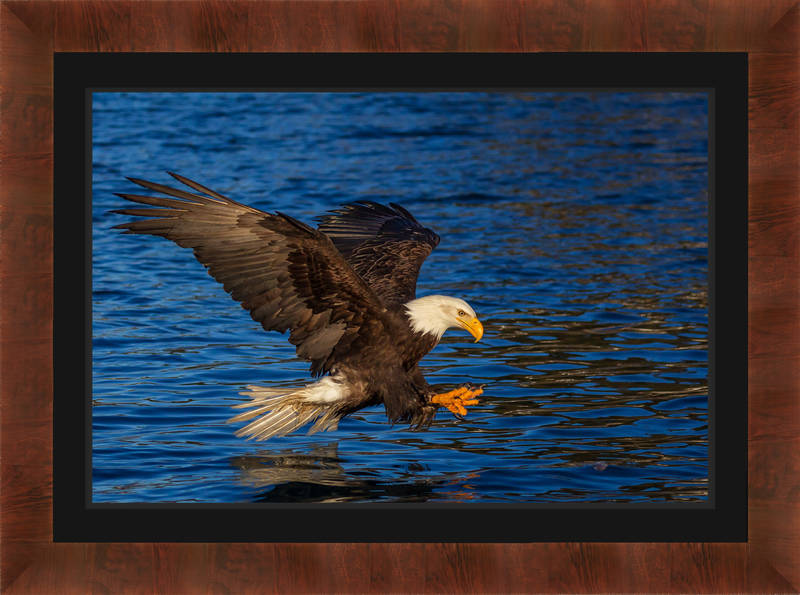 print preview