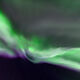 Wings Of Light
