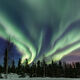 Green Fire