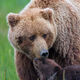 Tender Moment