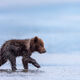 Walking Carefully