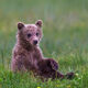 Just Chillin'