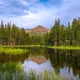 Tioga Reflection