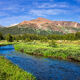 Tioga Stream