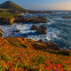 Big Sur Colors