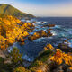 Big Sur Splendor