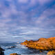 Big Sur Swirl