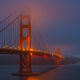 Golden Glow