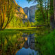 Reflection Of The Falls
