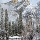 Snow For Three